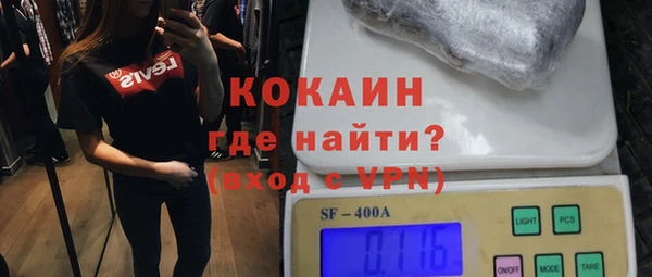 хмурый Белокуриха