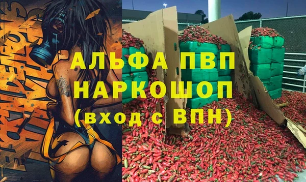 ECSTASY Богданович