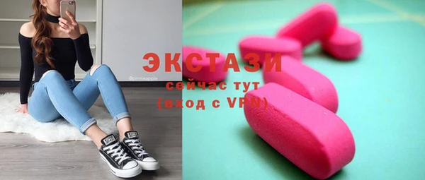 ECSTASY Богданович