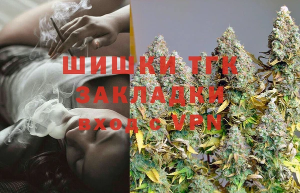 хмурый Белокуриха