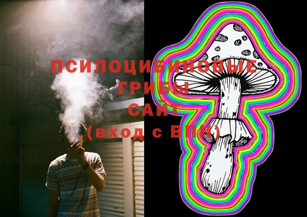 ECSTASY Богданович