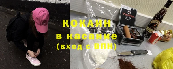 хмурый Белокуриха