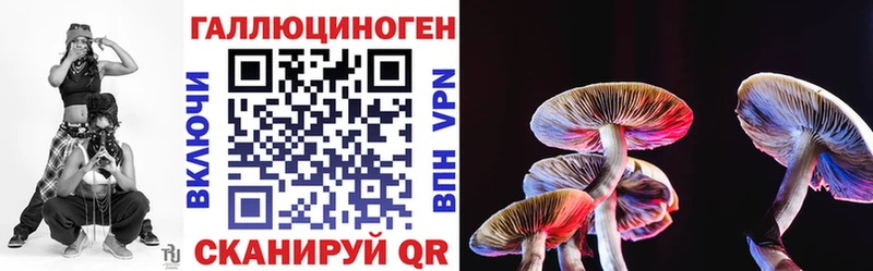 Псилоцибиновые грибы MAGIC MUSHROOMS купить наркотики цена Минеральные Воды